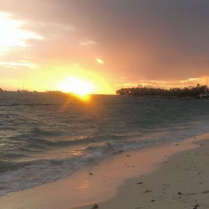 Meet your Posher, Jared